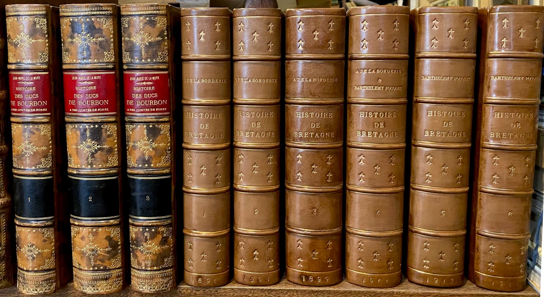 Reliures de l'Histoire des Ducs de Bourbon et de l'Histoire de Bretagne, dos de cuir dorés, fonds régionaliste de la Librairie Valleriaux